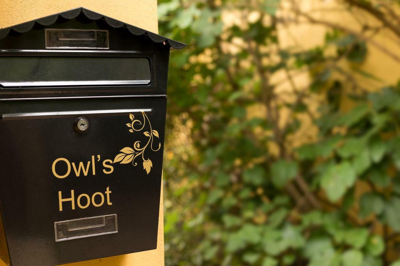 Вилла Owl'S Hoot Thorndon Экстерьер фото